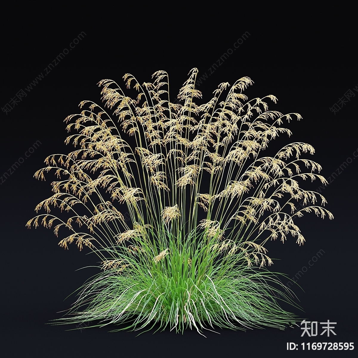 草3D模型下载【ID:1169728595】