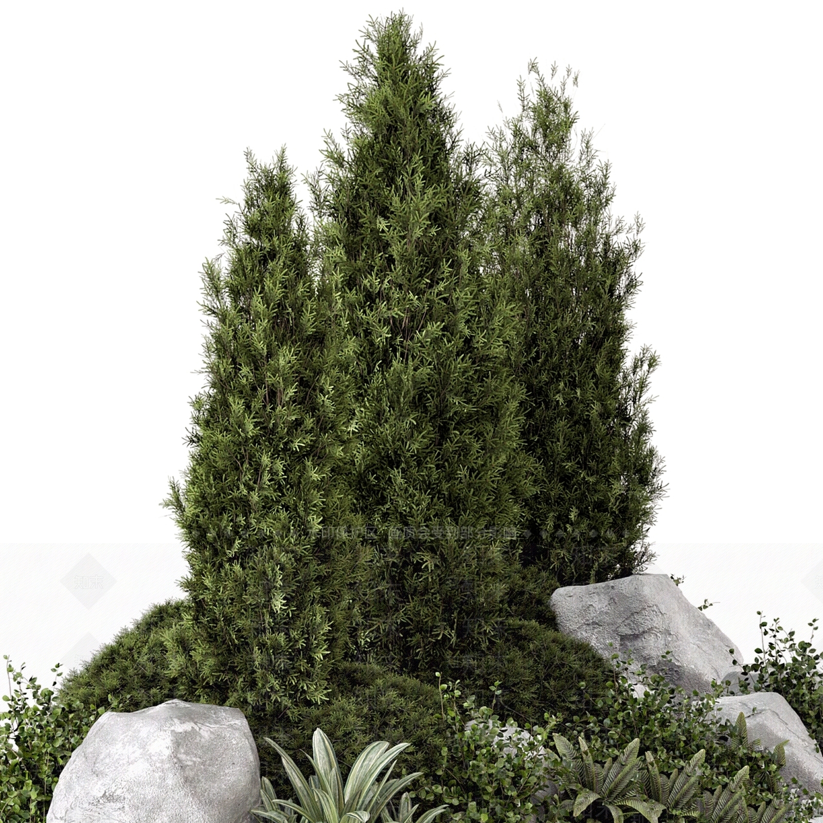 其他绿植3D模型下载【ID:1169729879】