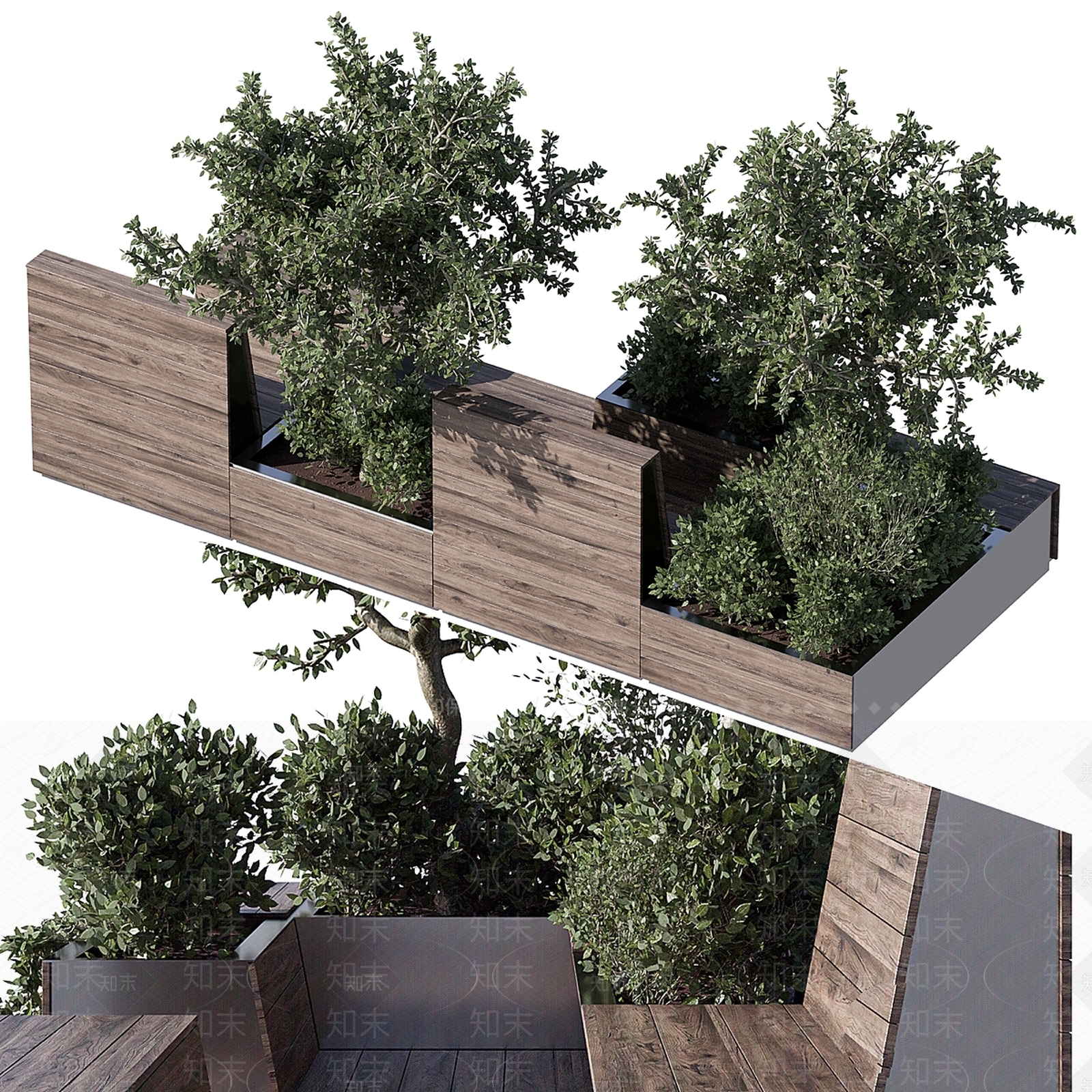 其他绿植3D模型下载【ID:1169768399】