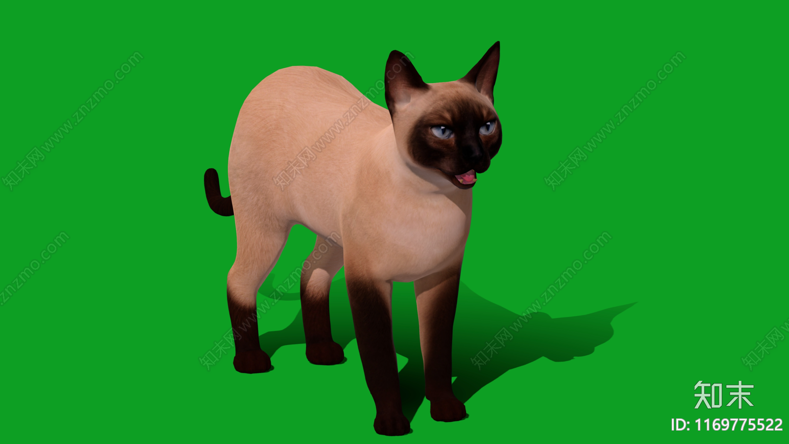 猫3D模型下载【ID:1169775522】