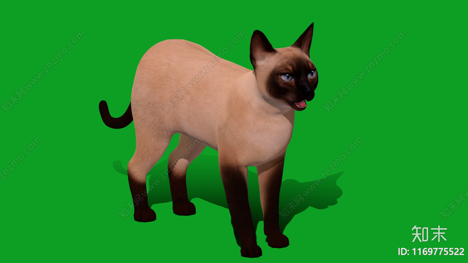 猫3D模型下载【ID:1169775522】