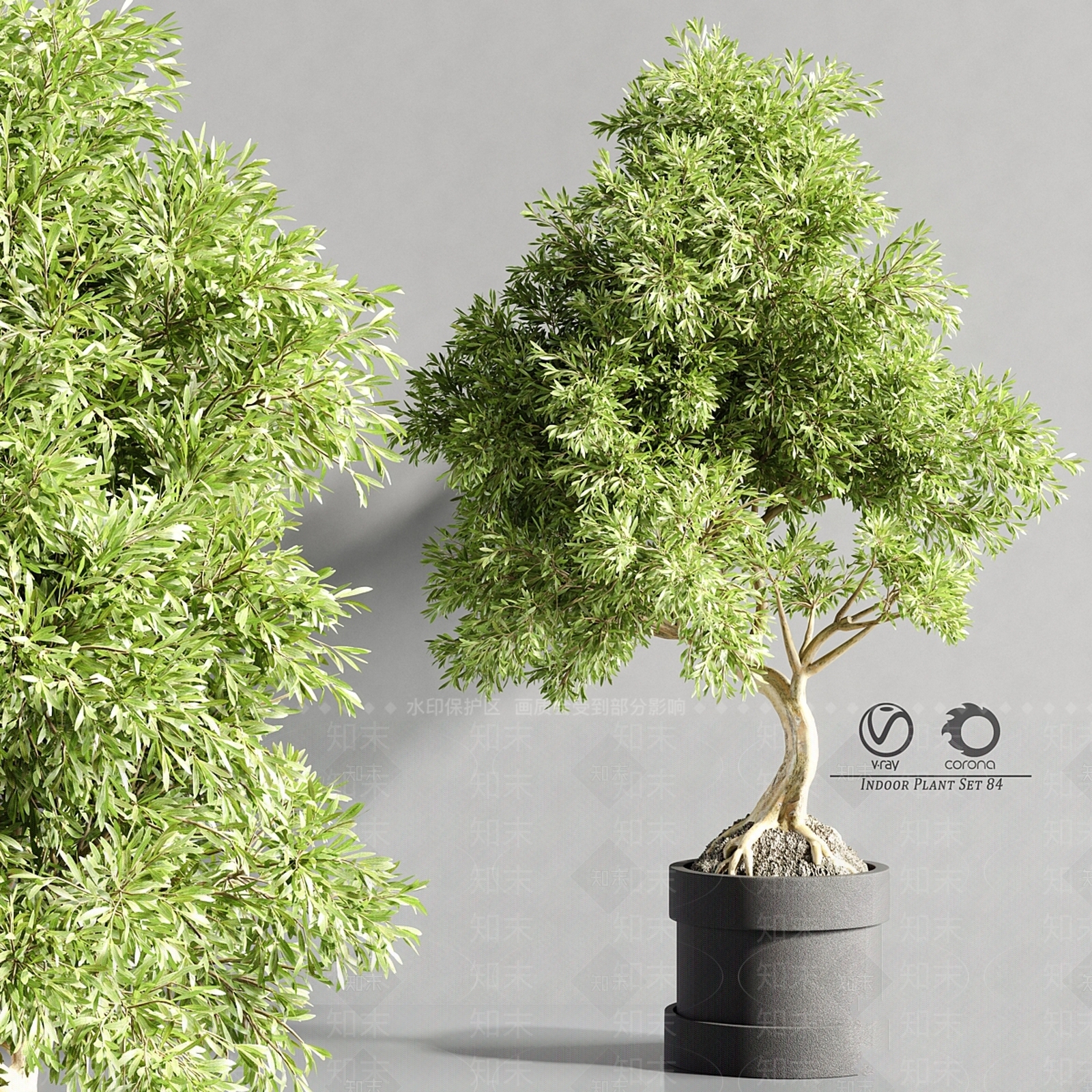 盆栽3D模型下载【ID:1169797006】