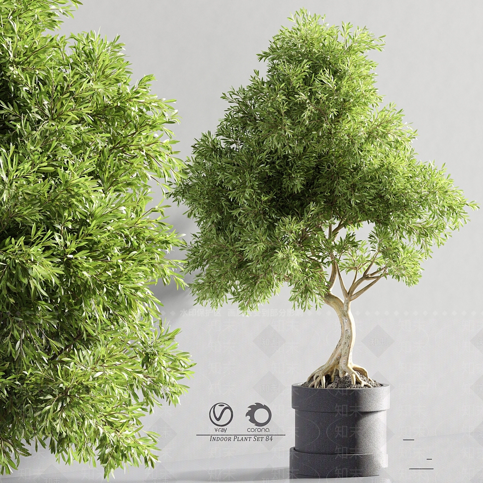 盆栽3D模型下载【ID:1169797006】
