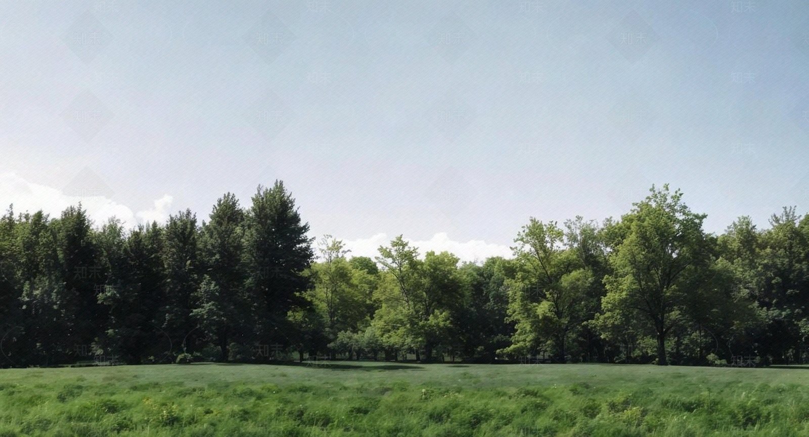 现代新中式乡村贴图下载【ID:1169865267】