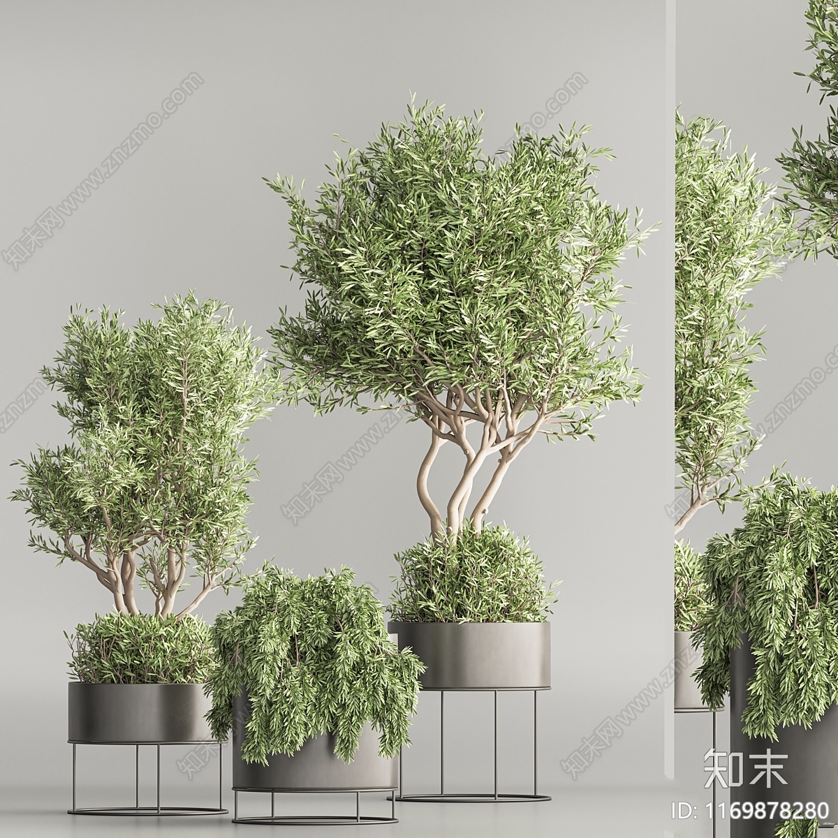 盆栽3D模型下载【ID:1169878280】