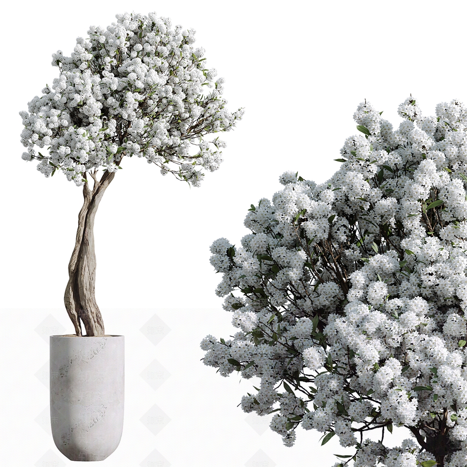 现代花艺3D模型下载【ID:1169904066】