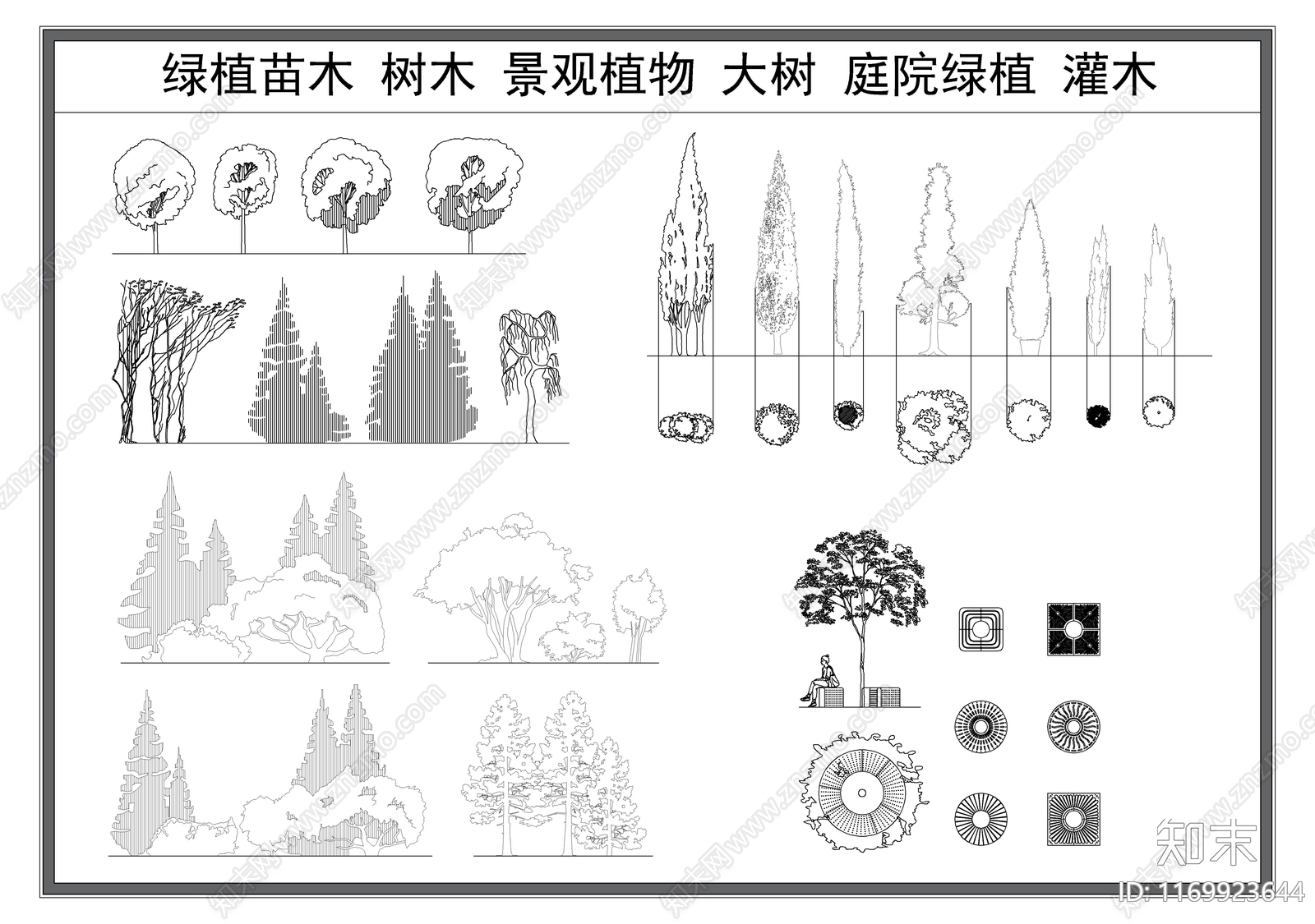 现代树施工图下载【ID:1169923644】