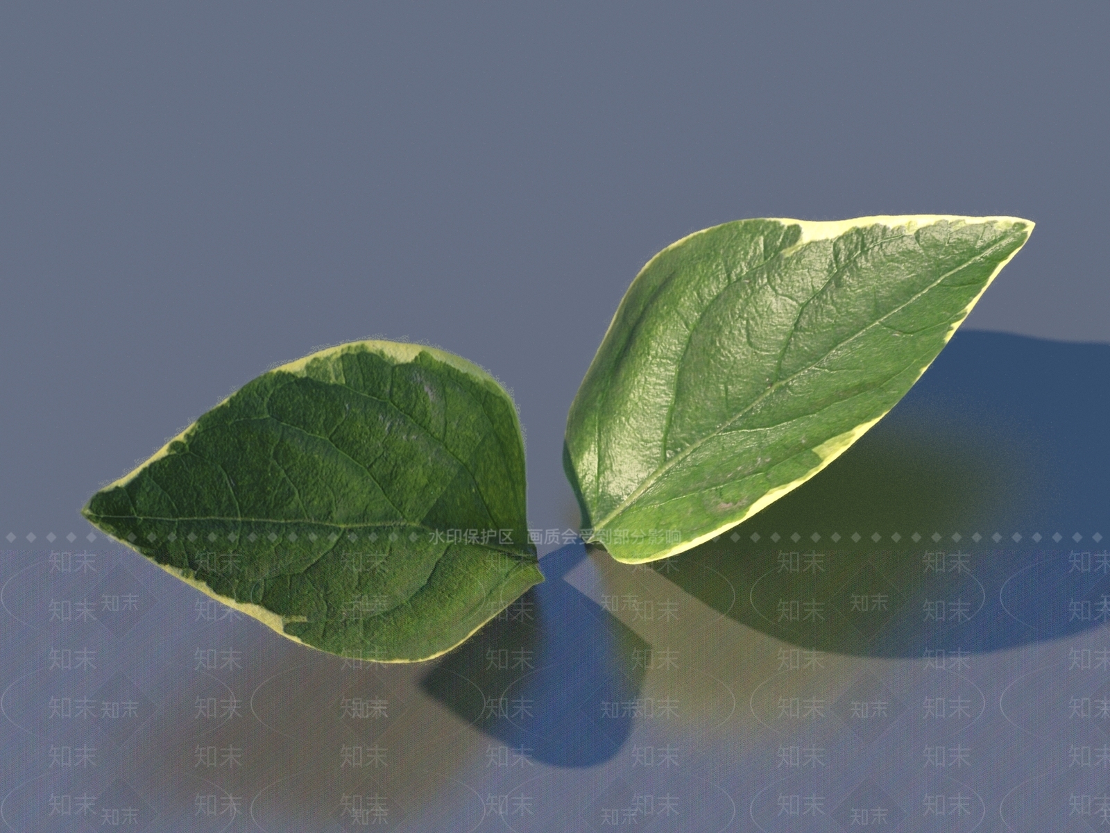 其他树木3D模型下载【ID:1170003352】