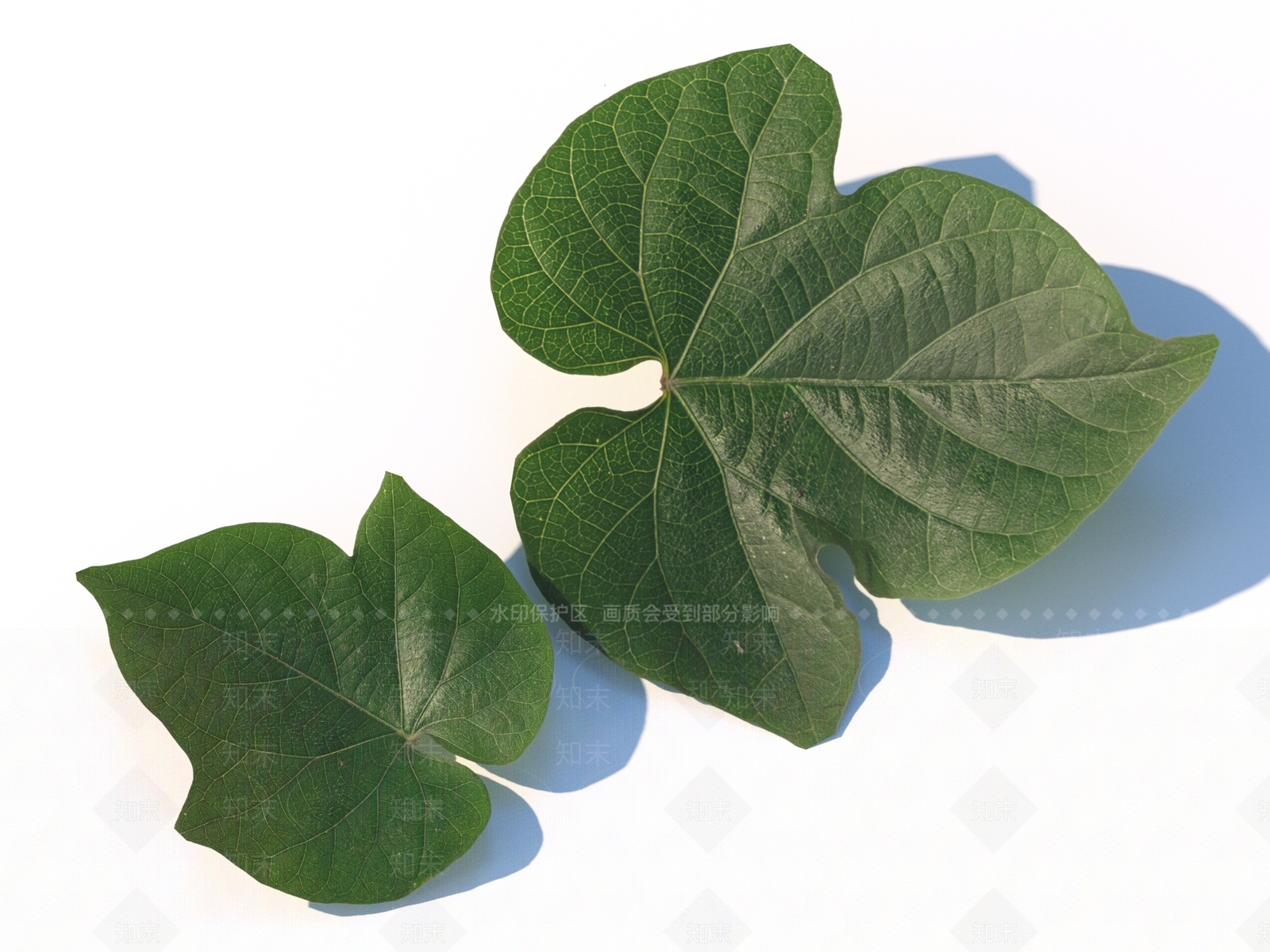 其他树木3D模型下载【ID:1170032450】