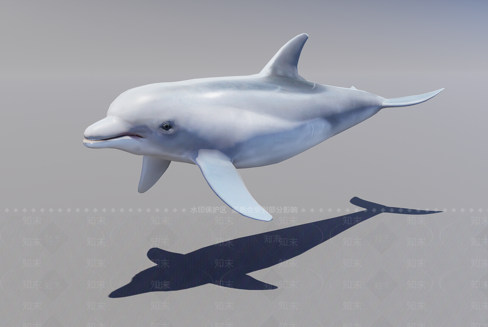 水生类动物3D模型下载【ID:1170035540】