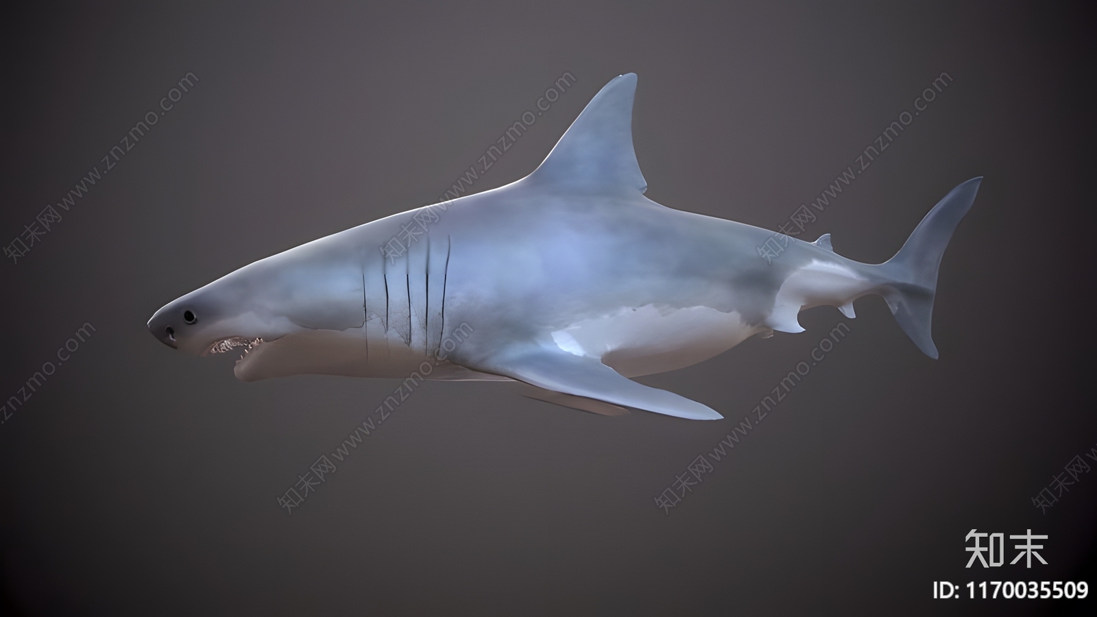 水生类动物3D模型下载【ID:1170035509】