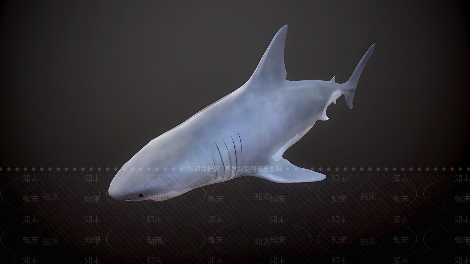水生类动物3D模型下载【ID:1170035509】
