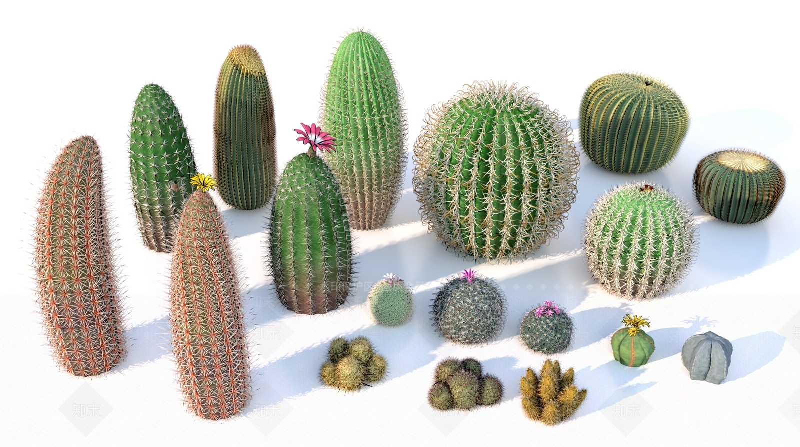 其他绿植3D模型下载【ID:1170072452】