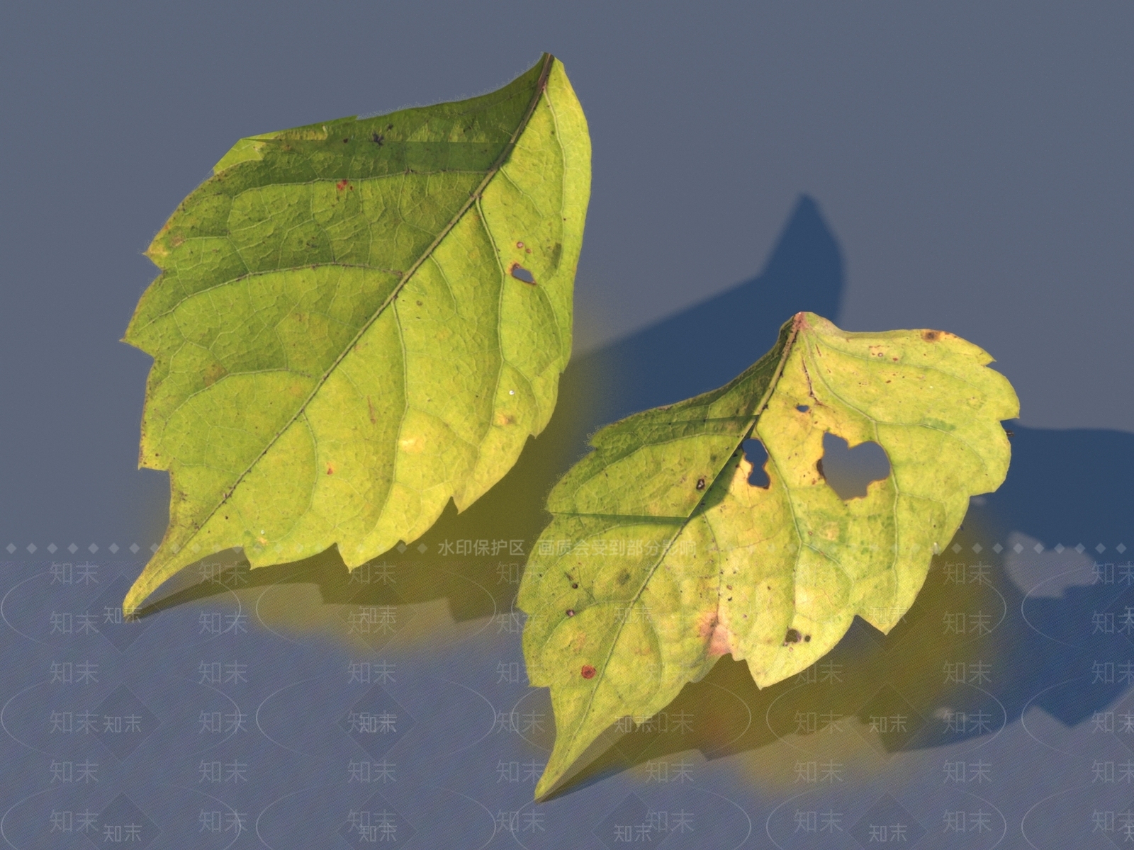 其他树木3D模型下载【ID:1170072779】