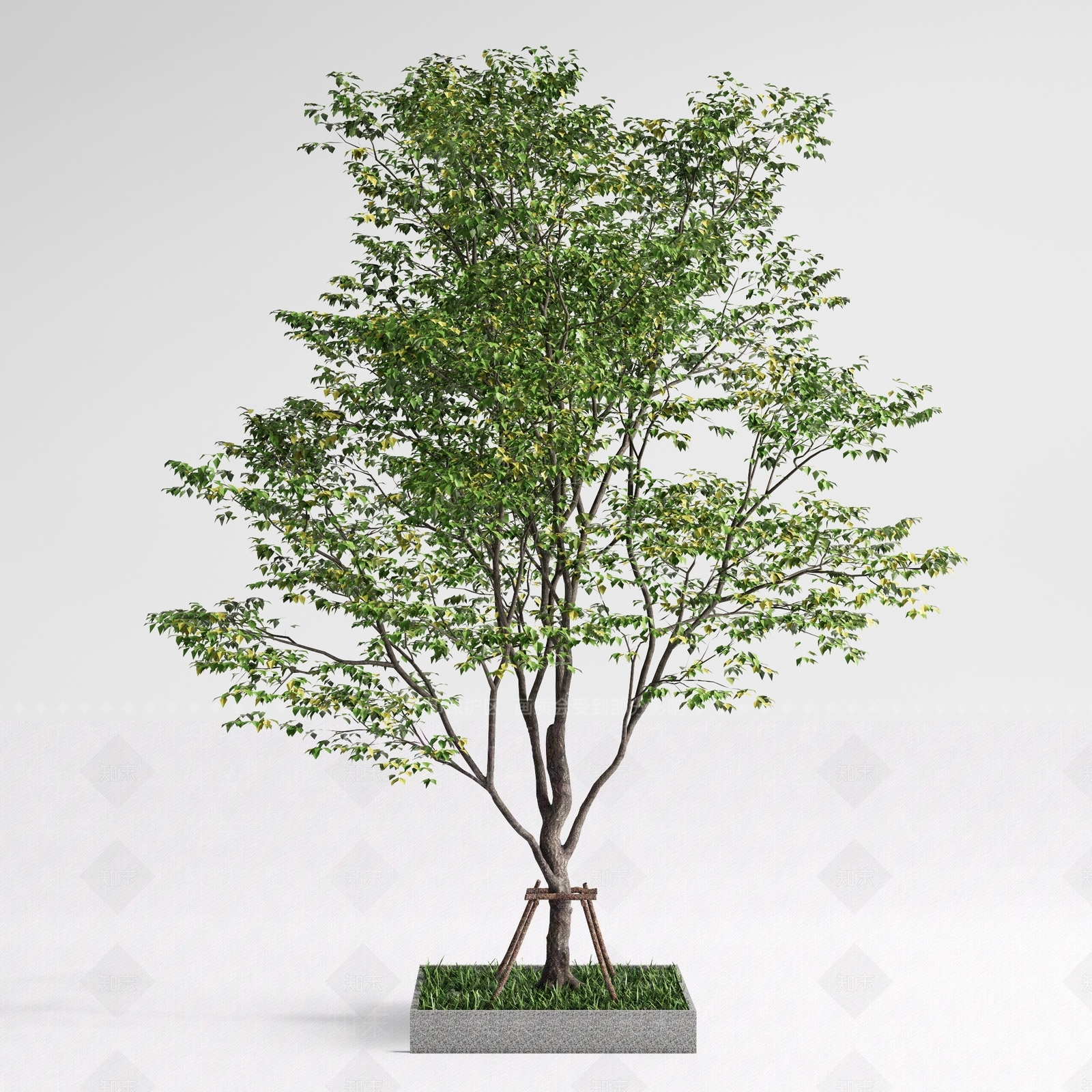 景观树3D模型下载【ID:1170088437】