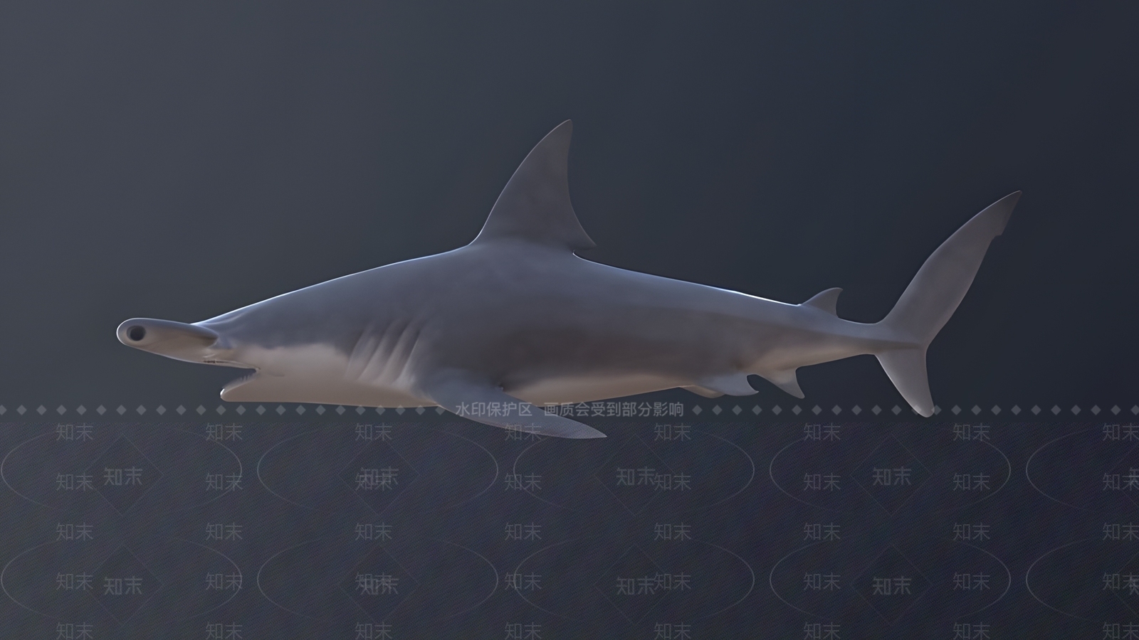 水生类动物3D模型下载【ID:1170145153】