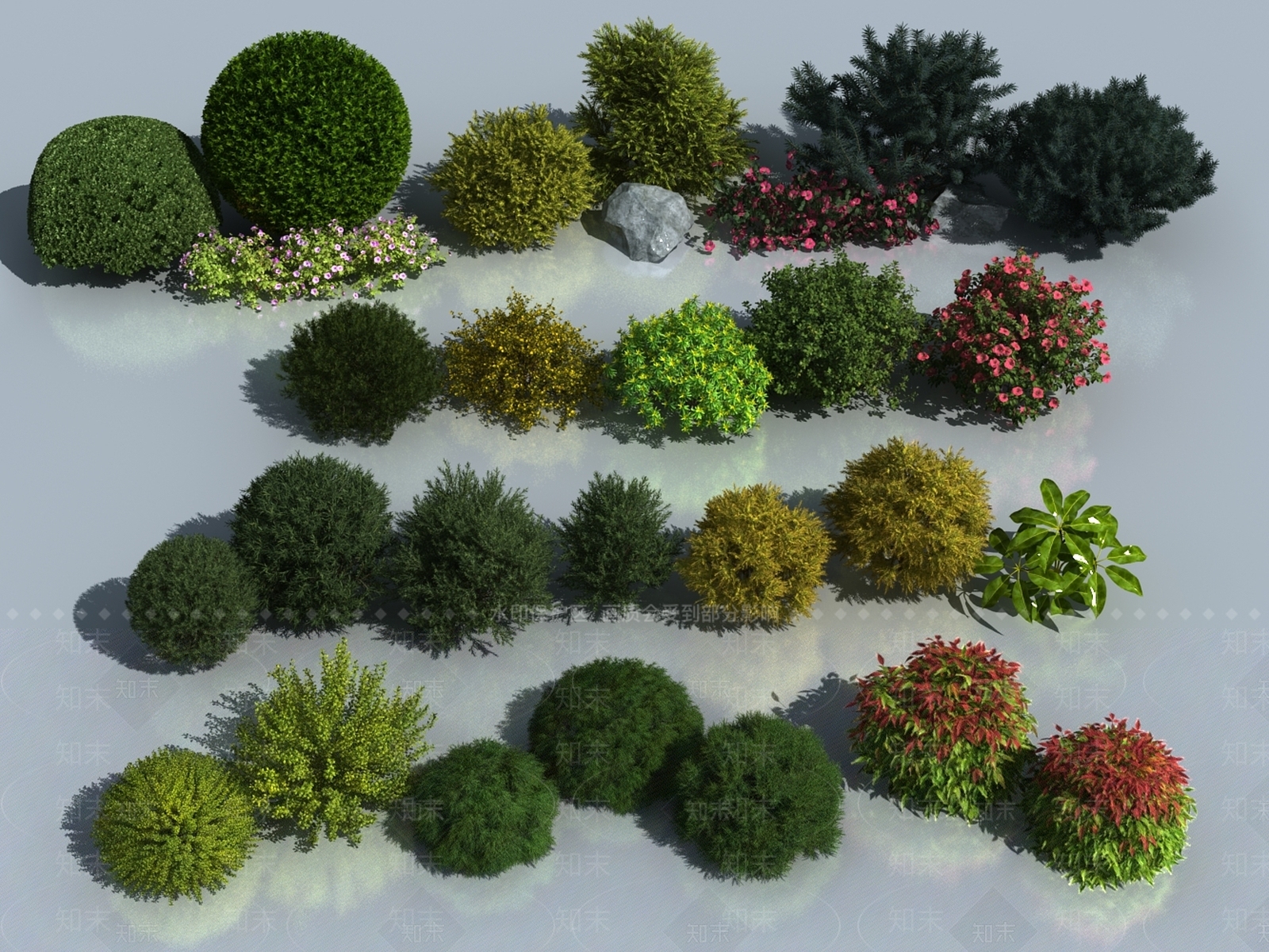 其他绿植3D模型下载【ID:1170192381】