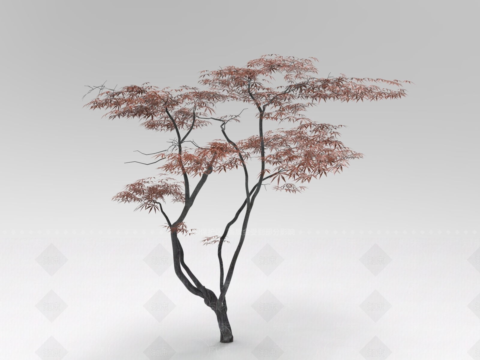 景观树3D模型下载【ID:1170238234】