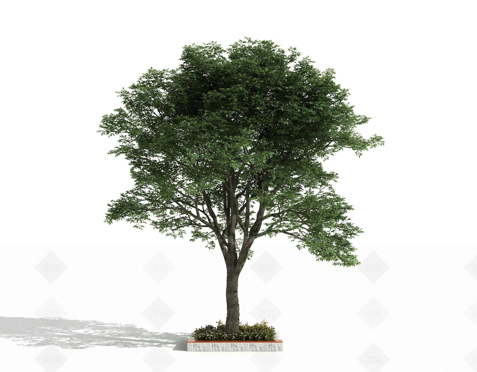 景观树3D模型下载【ID:1170243589】