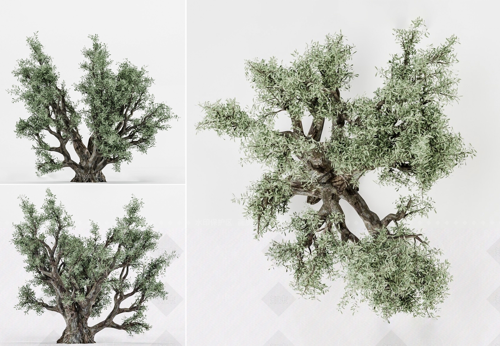乔木3D模型下载【ID:1170258059】