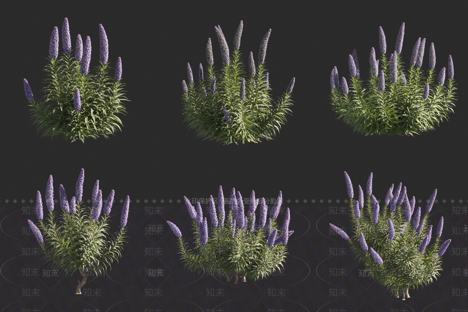 花草组合3D模型下载【ID:1170276083】