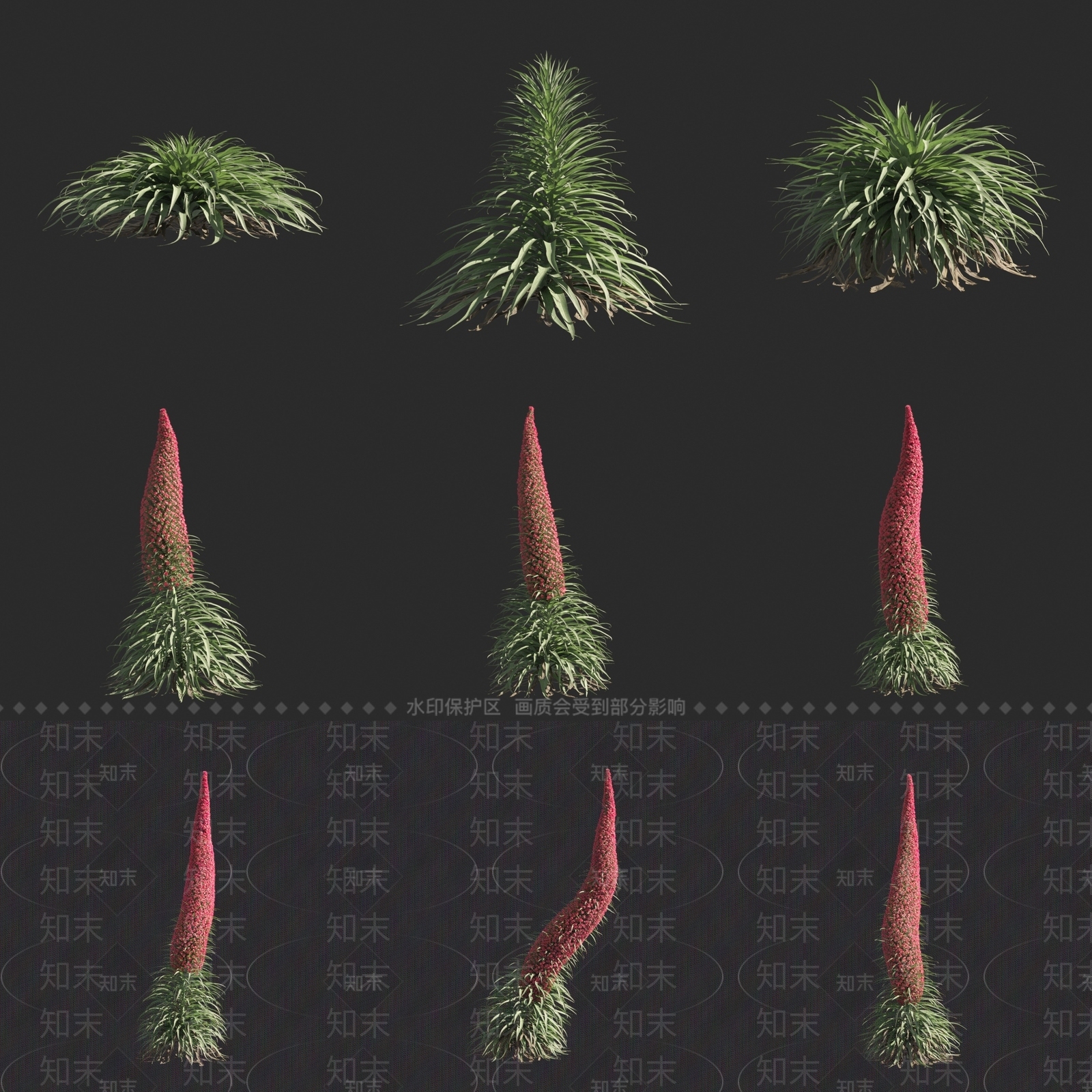 花草组合3D模型下载【ID:1170276664】