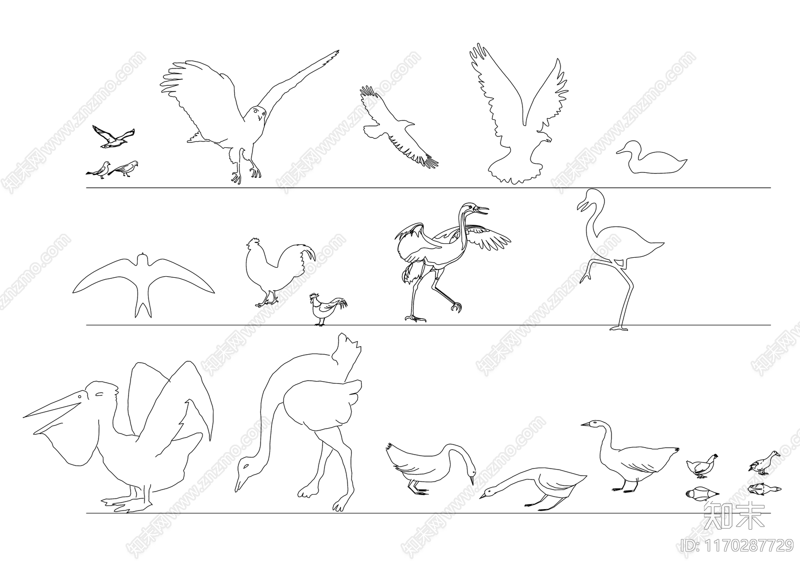 现代动物施工图下载【ID:1170287729】