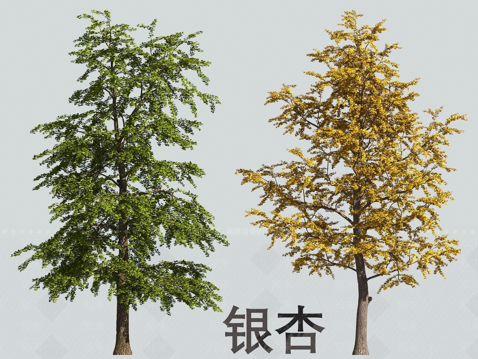 乔木3D模型下载【ID:1170291708】