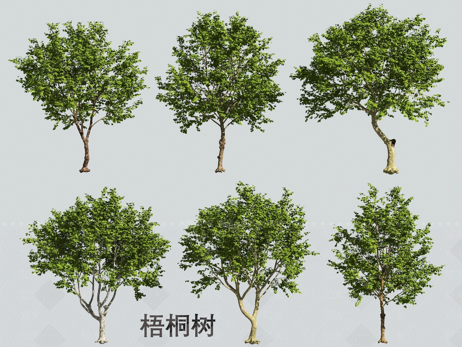 乔木3D模型下载【ID:1170293411】