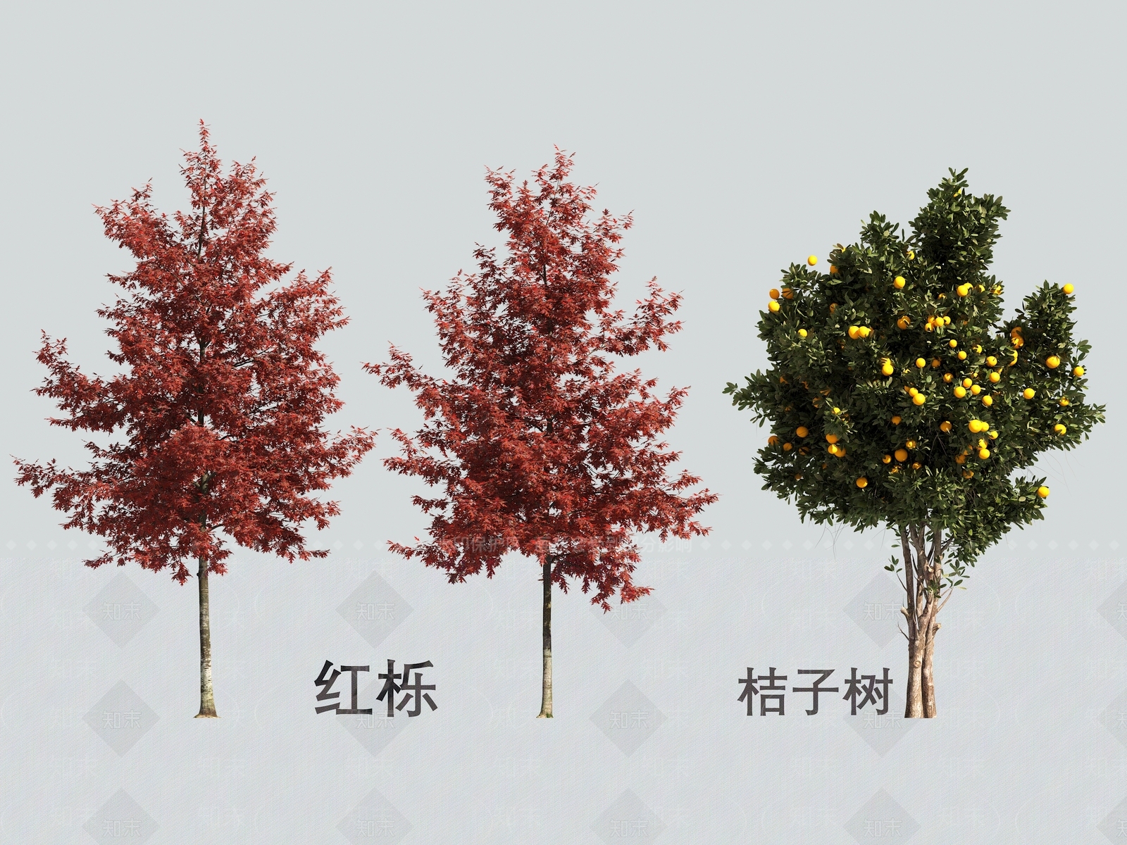 景观树3D模型下载【ID:1170296110】