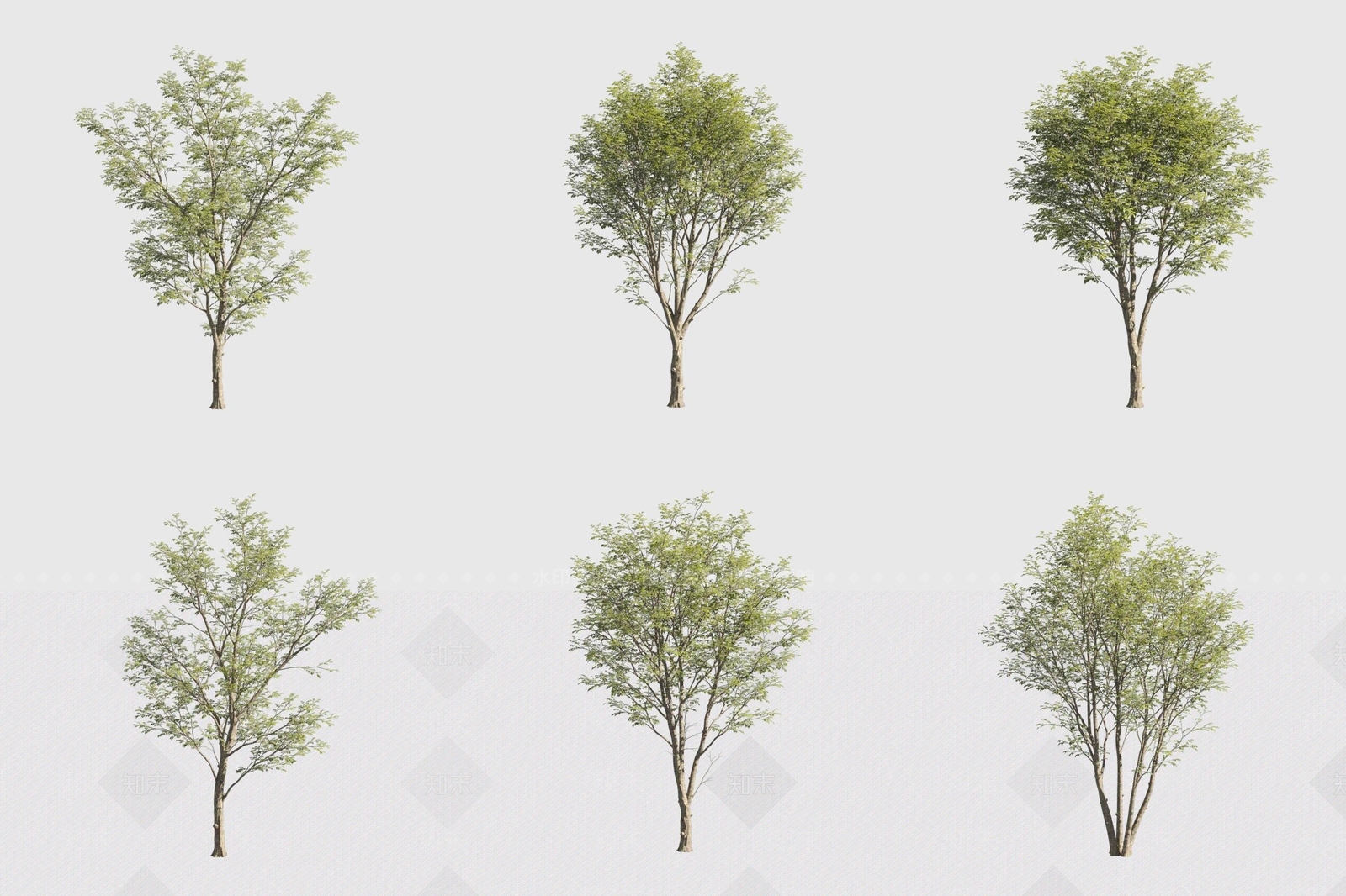 景观树3D模型下载【ID:1170330198】