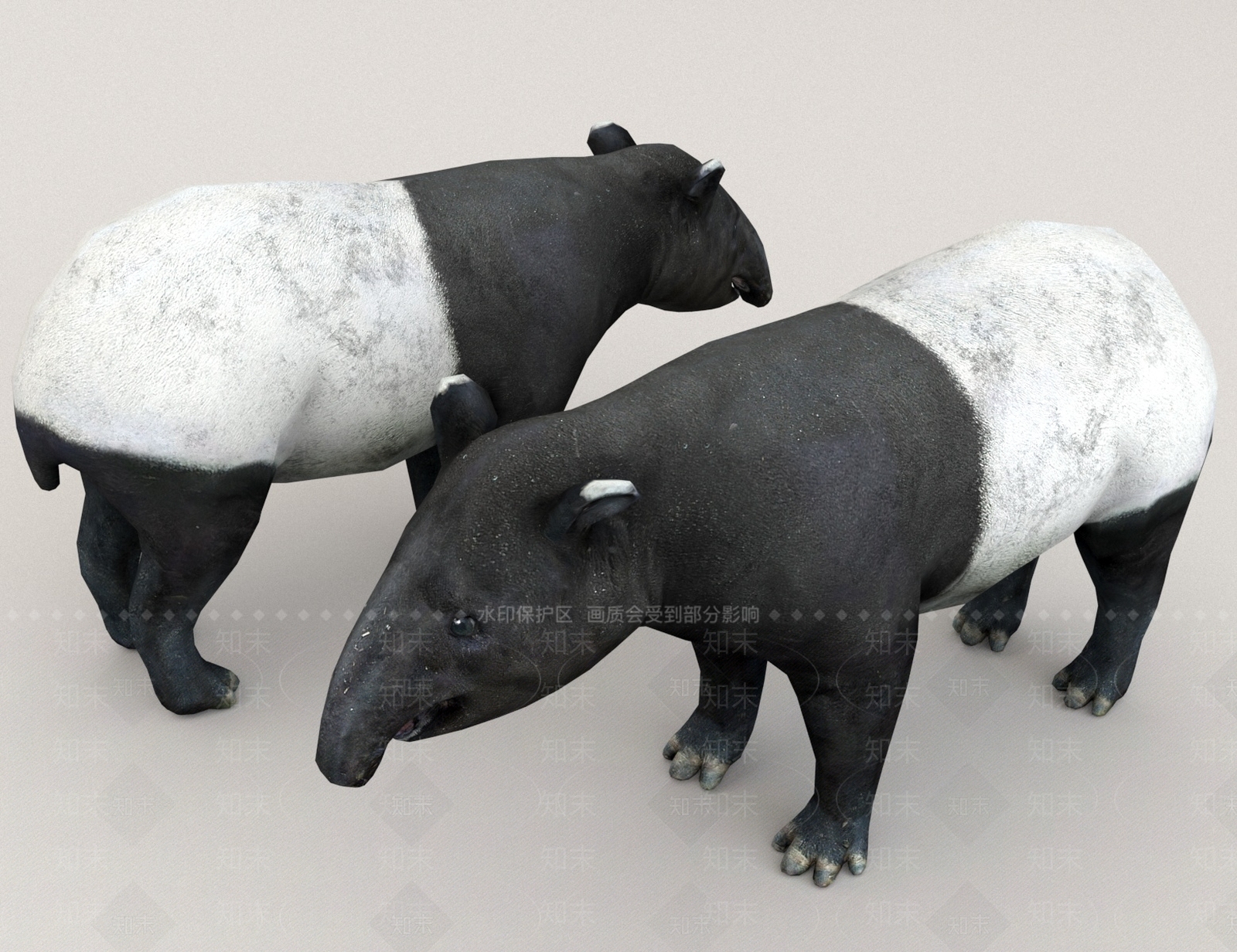 家禽类动物3D模型下载【ID:1170342537】