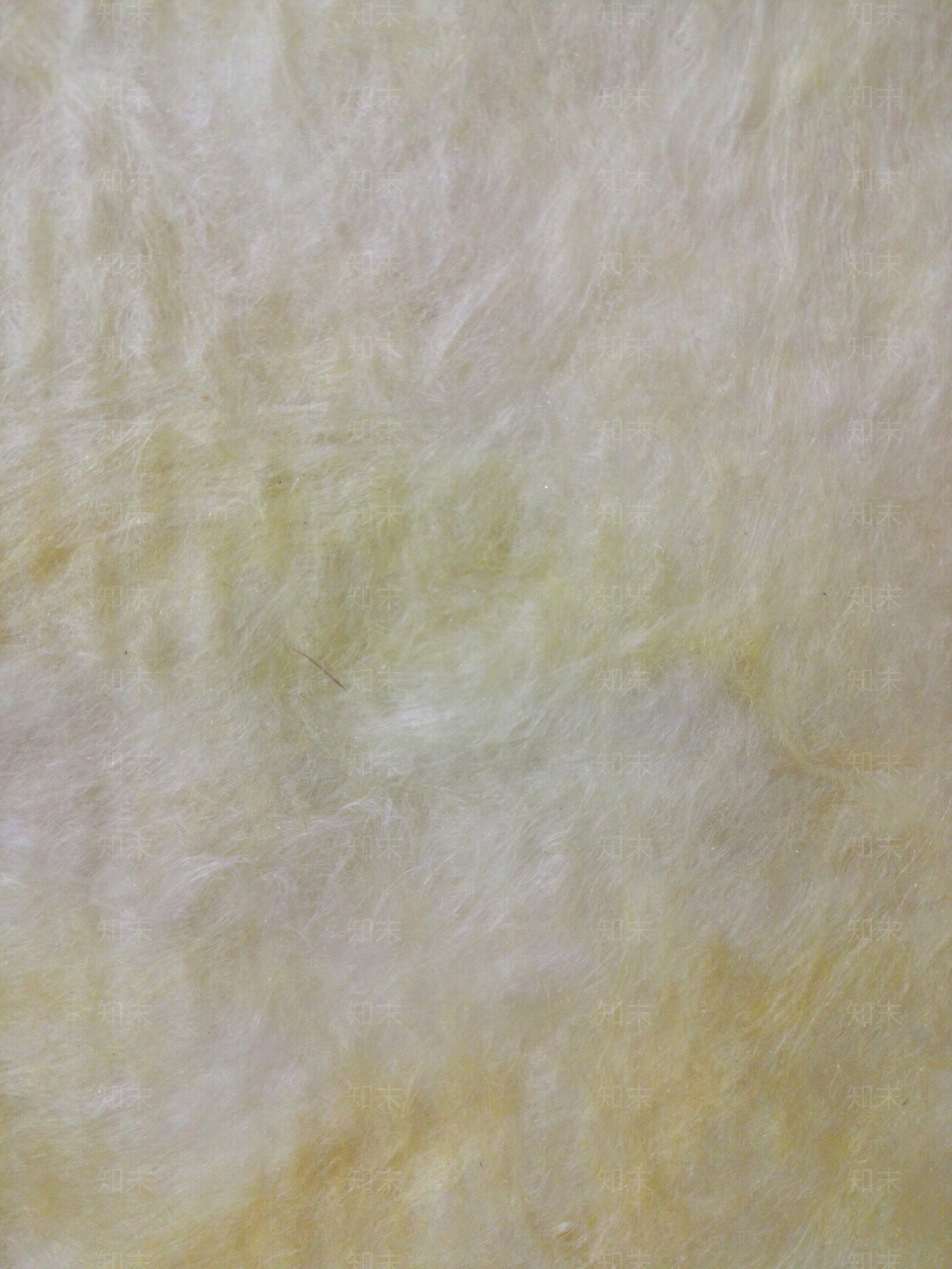现代其它涂料贴图下载【ID:1170345599】