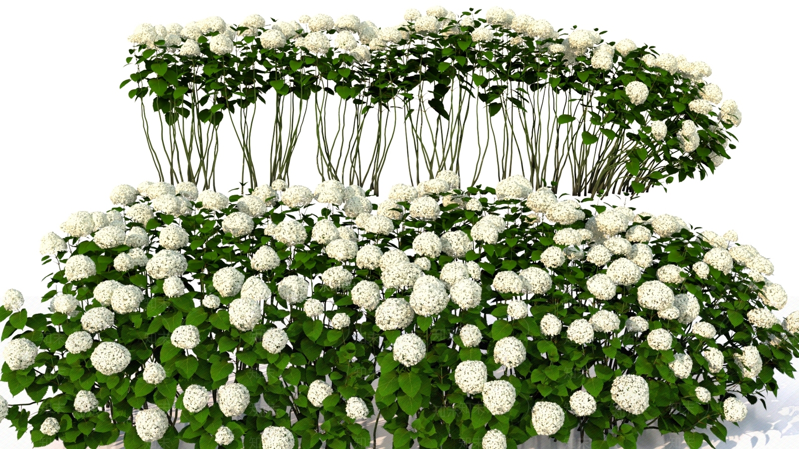 花草组合3D模型下载【ID:1170362732】