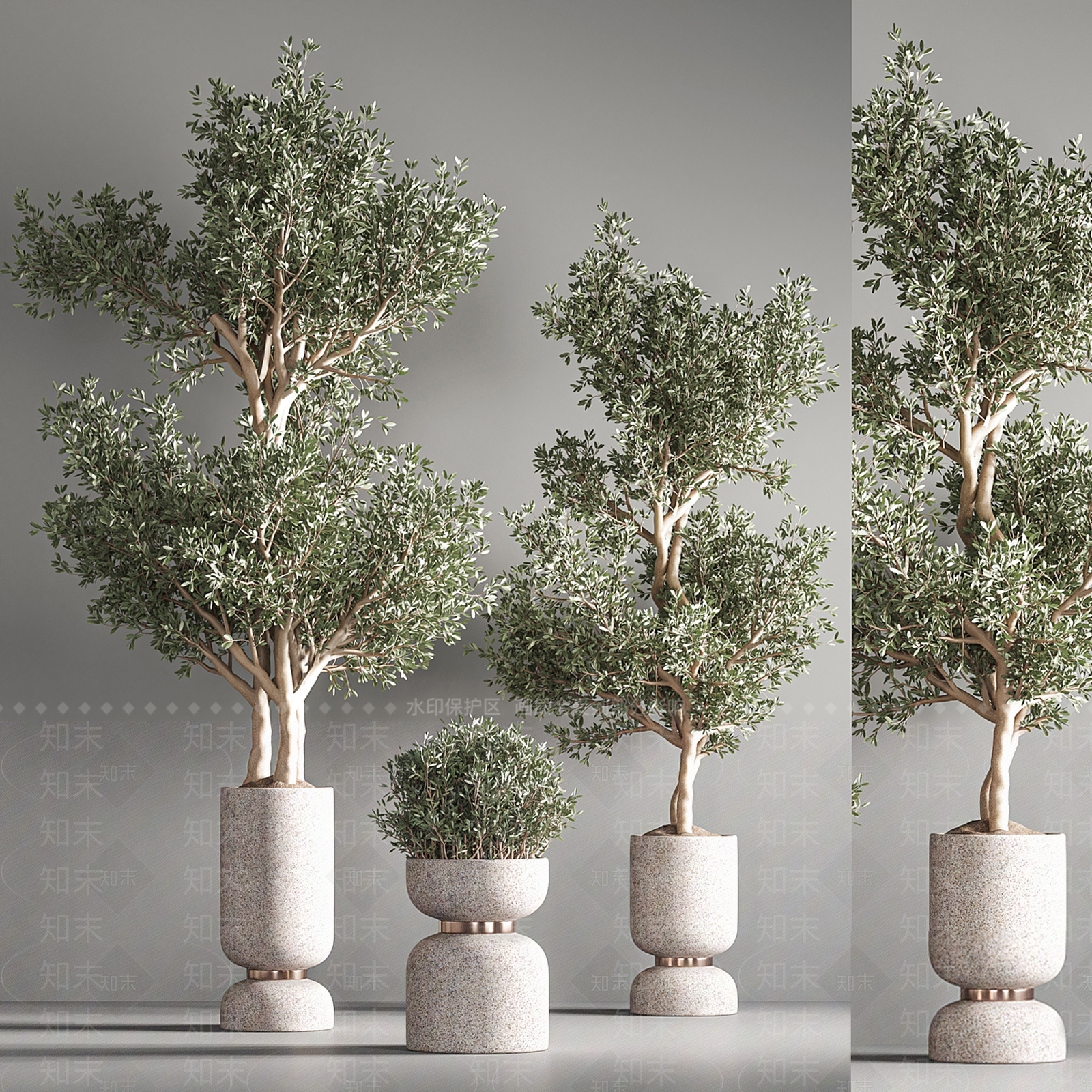 盆栽3D模型下载【ID:1170377175】