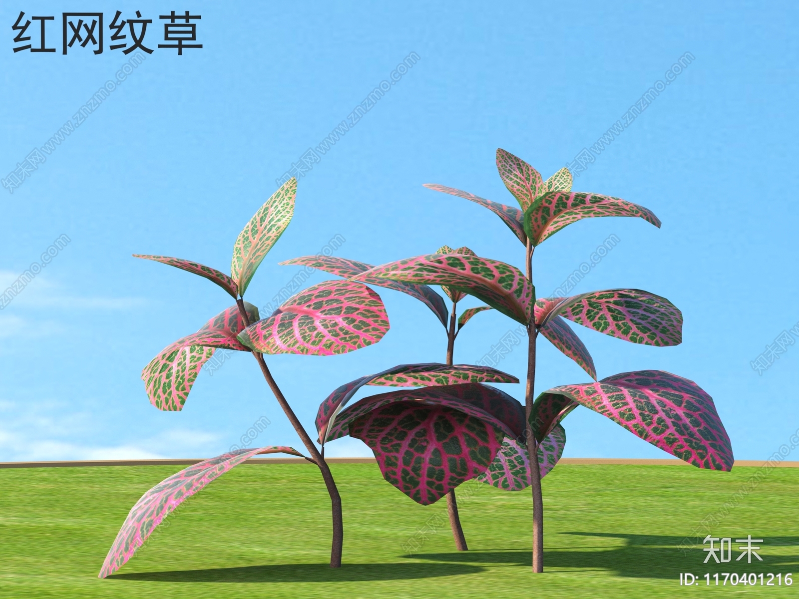 草3D模型下载【ID:1170401216】