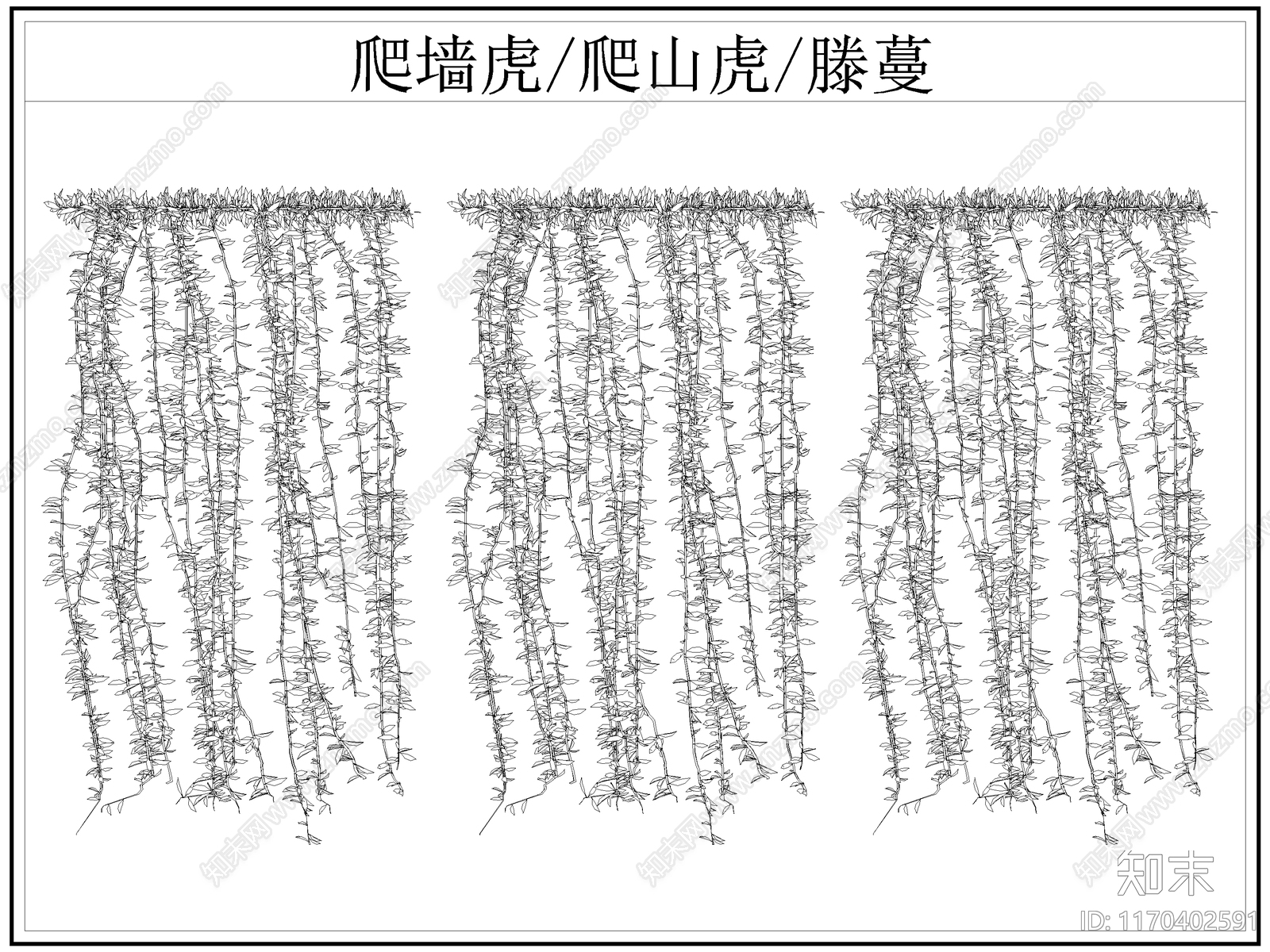 现代综合植物图库施工图下载【ID:1170402591】