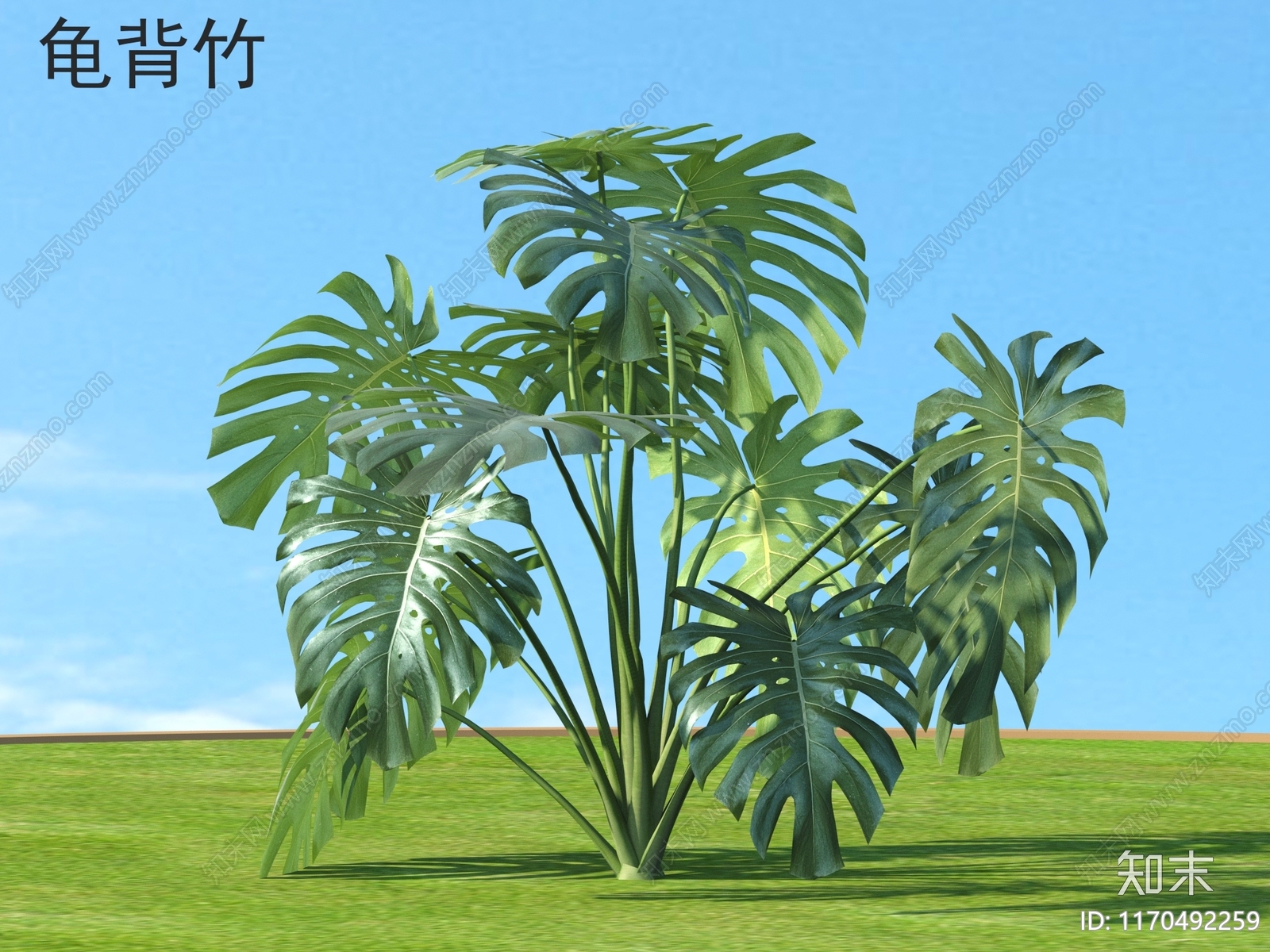 竹子3D模型下载【ID:1170492259】