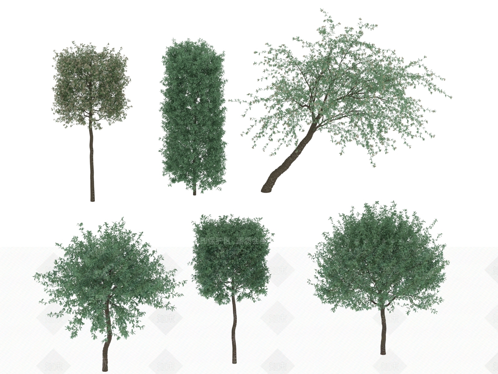 景观树3D模型下载【ID:1170552825】