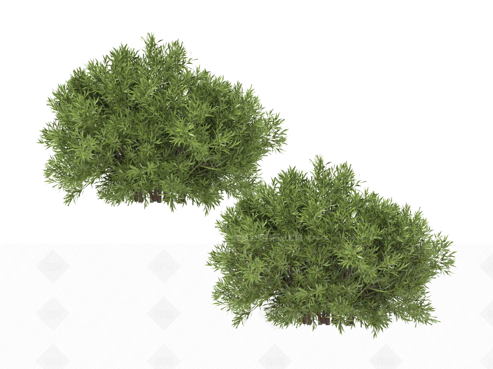 其他绿植3D模型下载【ID:1170562754】
