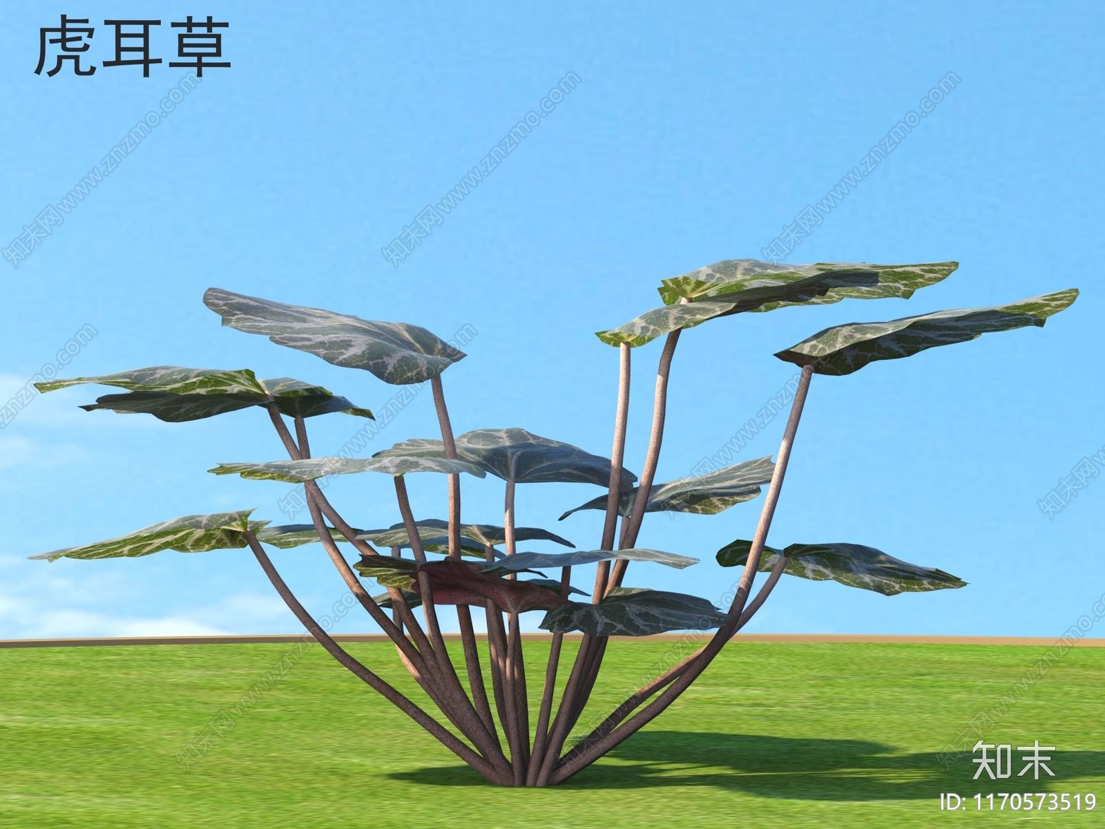 草3D模型下载【ID:1170573519】