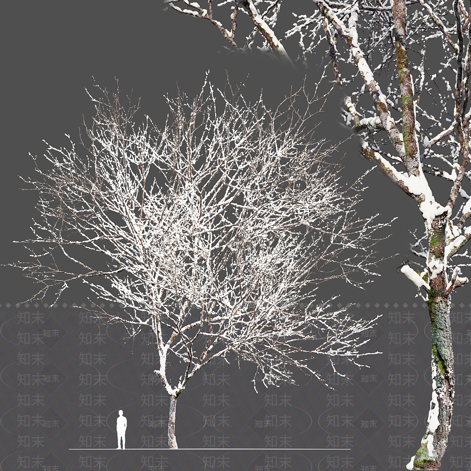 乔木3D模型下载【ID:1170677186】