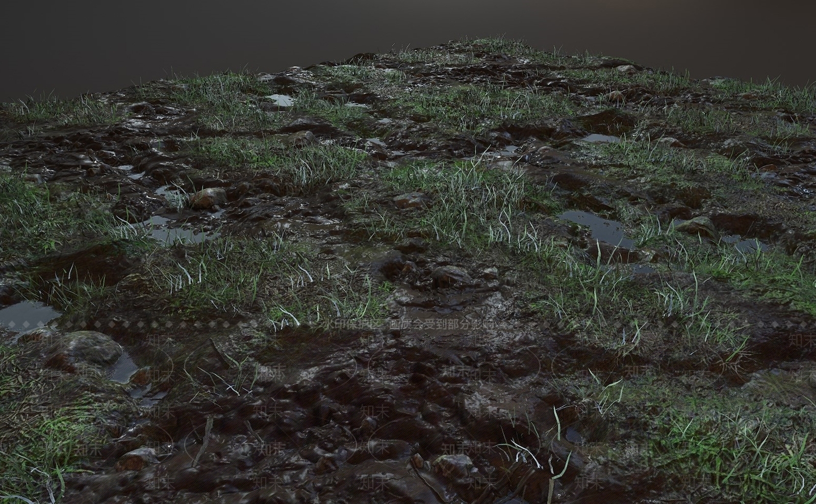 草3D模型下载【ID:1170722659】