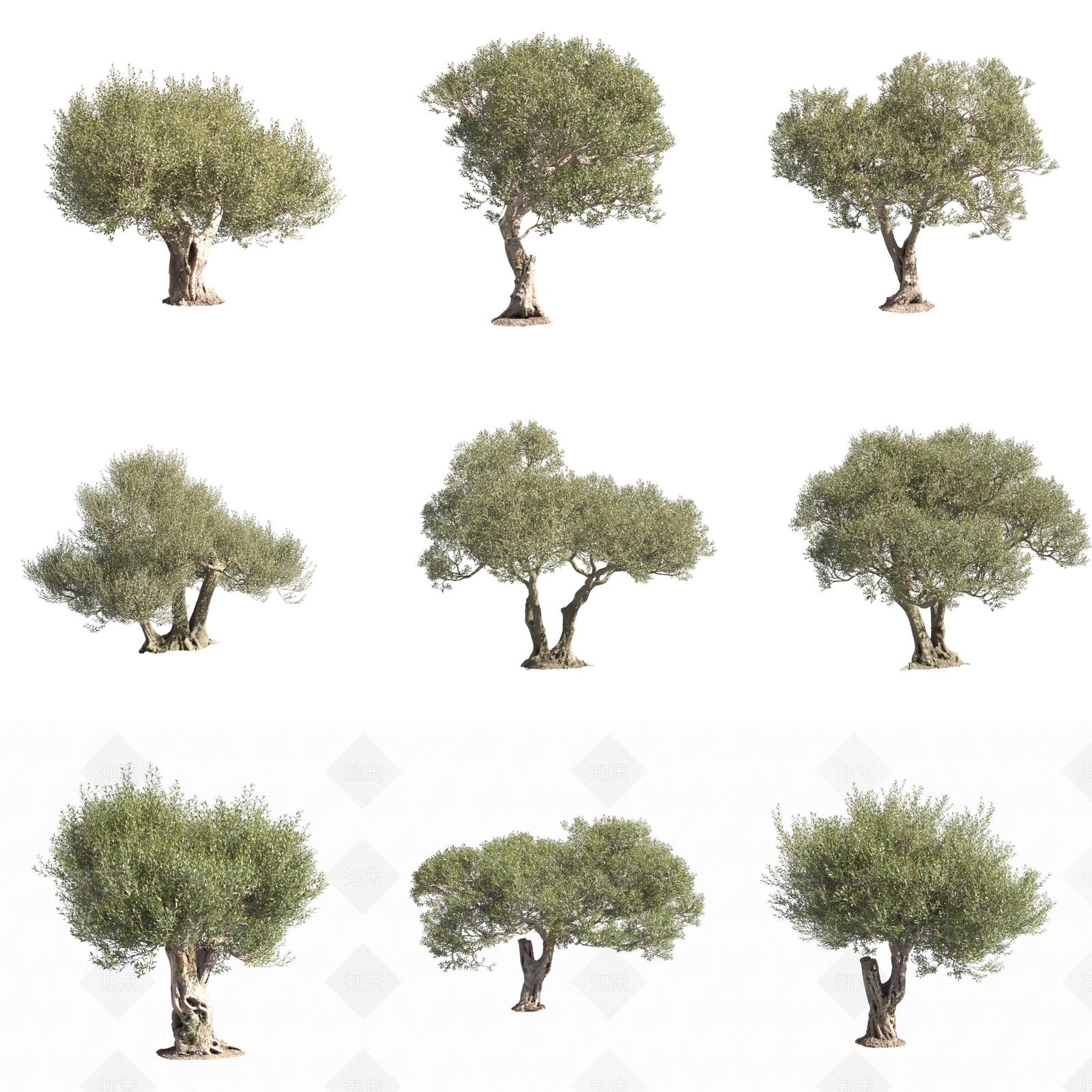 景观树3D模型下载【ID:1170757781】