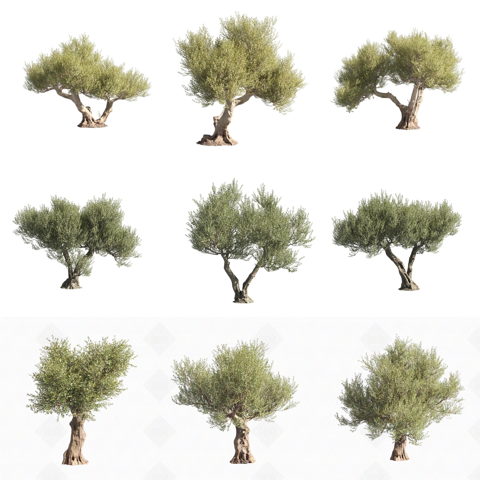 景观树3D模型下载【ID:1170758584】