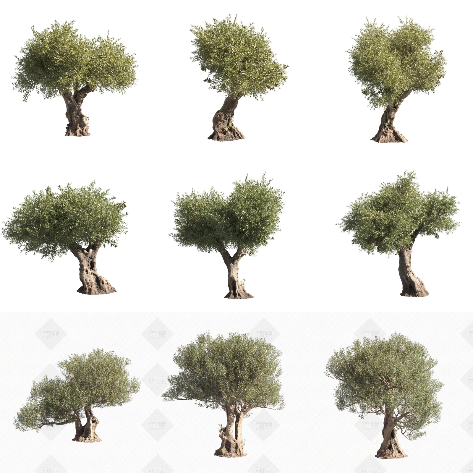 景观树3D模型下载【ID:1170758687】