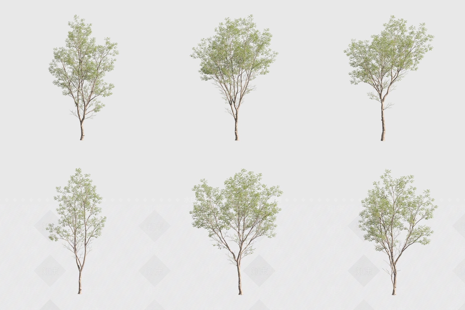 景观树3D模型下载【ID:1170762665】