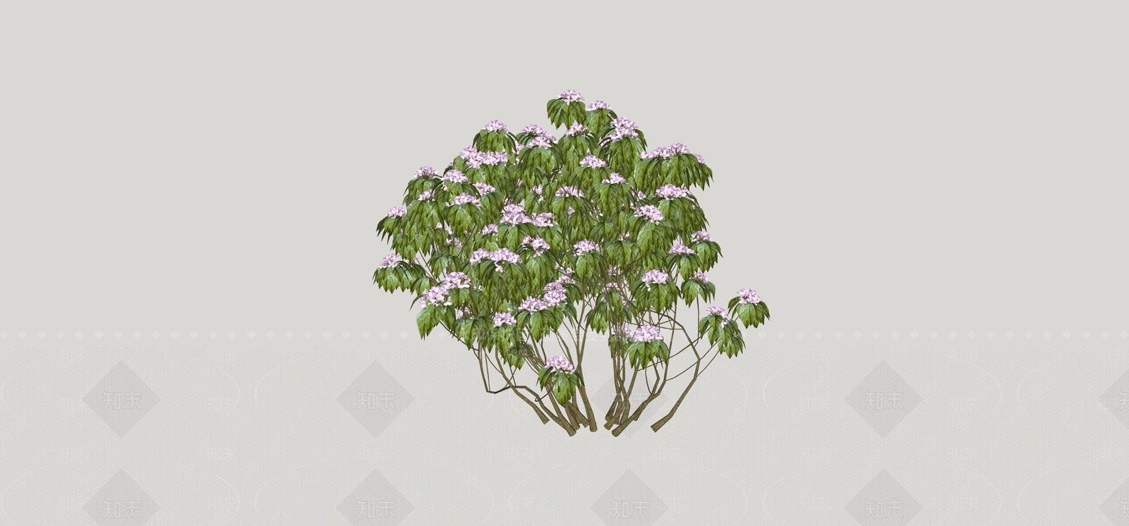 灌木SU模型下载【ID:1170789223】