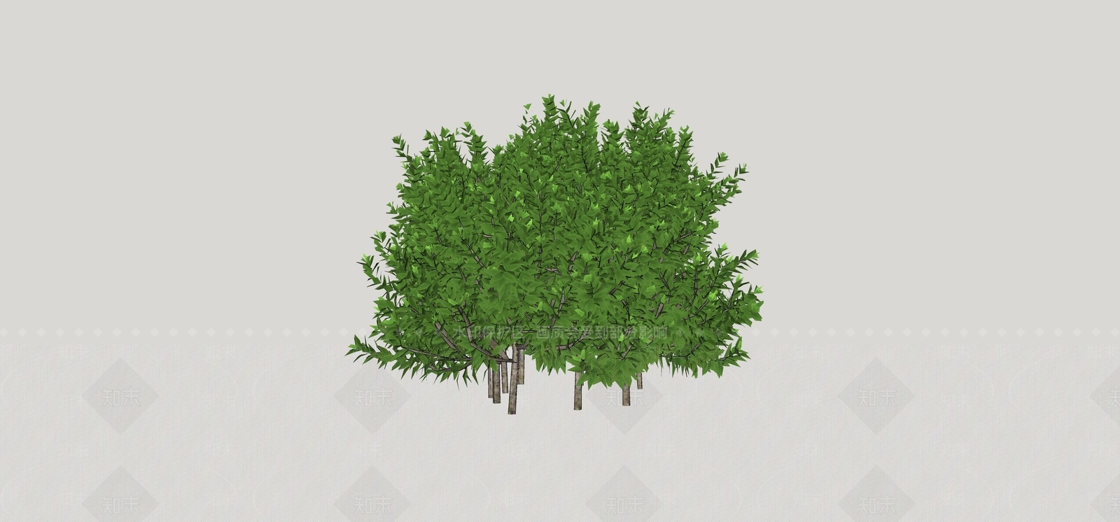 灌木SU模型下载【ID:1170790052】
