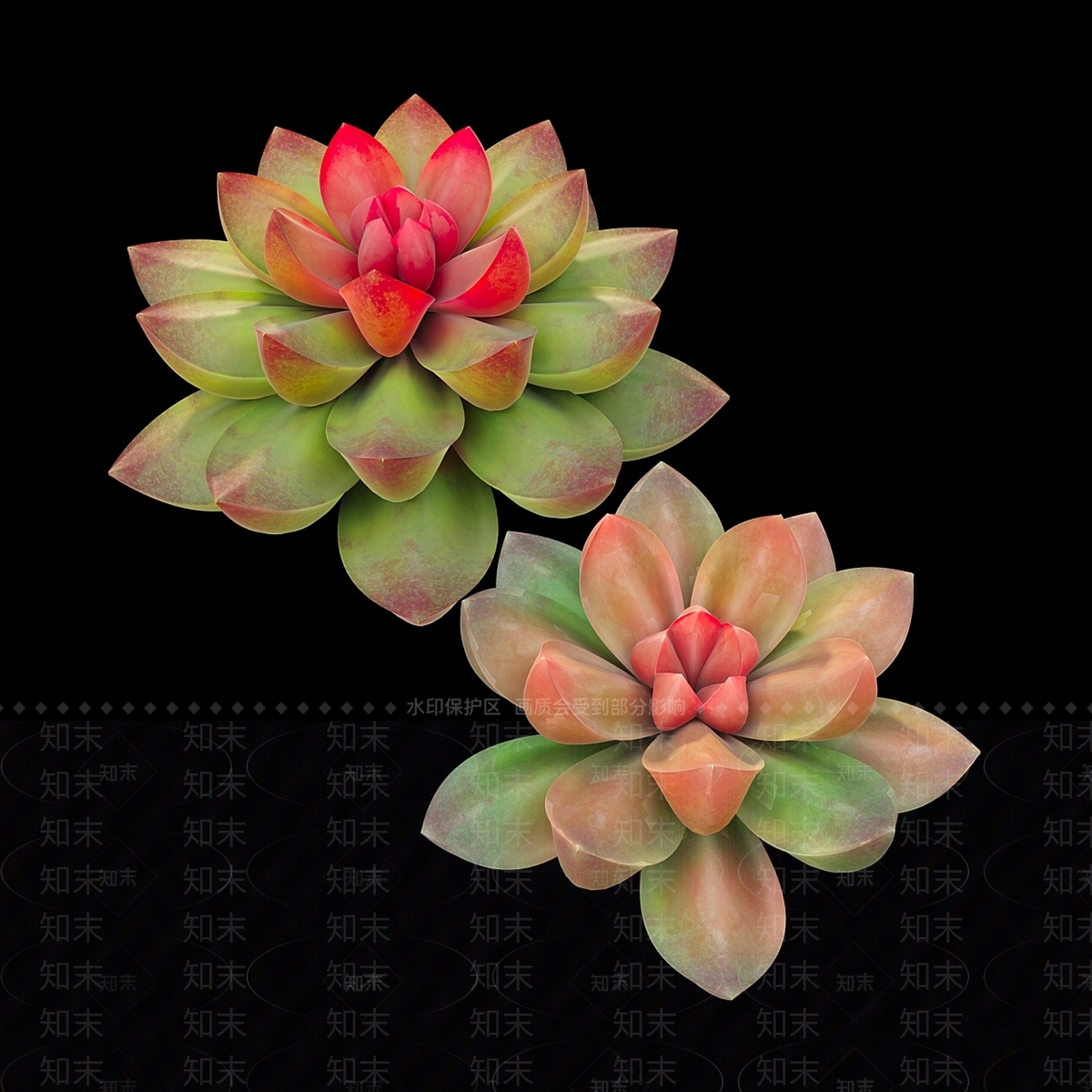 其他绿植3D模型下载【ID:1170794850】